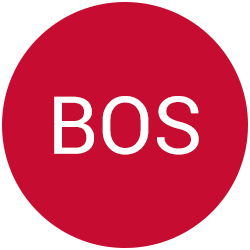 Boston Red Sox