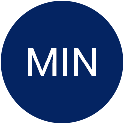 Minnesota Twins